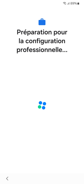 Screenshot_20250213_091218_Work Setup.png