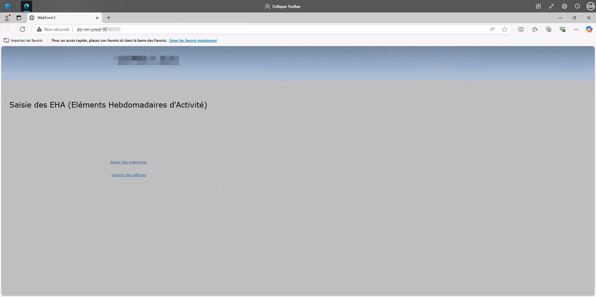 2025-02-19 21_59_25-WebForm1 - Profil 1 – Microsoft​ Edge et 1 page supplémentaire - Travail – Micro.png